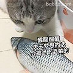 猫醒醒别当咸鱼