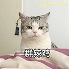 一群辣鸡