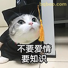 不要爱情要知识