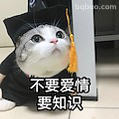 不要爱情要知识