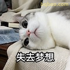 失去梦想的猫