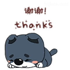 谢谢小狼狗
