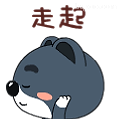 走起小狼狗