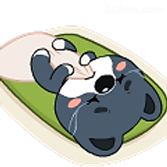 躺平小熊好舒服