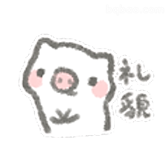 礼貌小猪