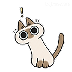 惊讶小猫表情包