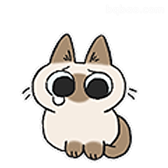 委屈小猫擦眼泪