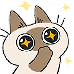 星星眼猫咪太可爱