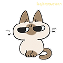 戴墨镜的猫猫