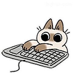 猫猫敲键盘