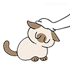 被摸头的小猫咪