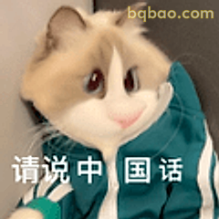 请说中国话