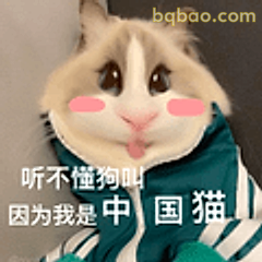 听不懂狗叫的中国猫