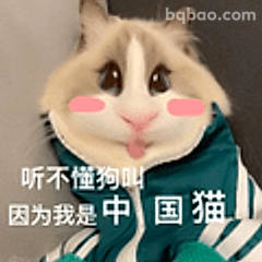 听不懂狗叫的中国猫