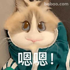 嗯嗯！猫咪点头