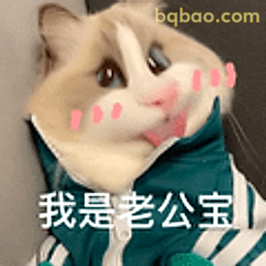 我是老公宝