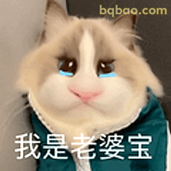 我是老婆宝