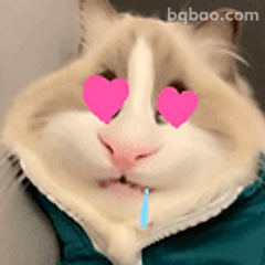 猫咪爱心眼流口水