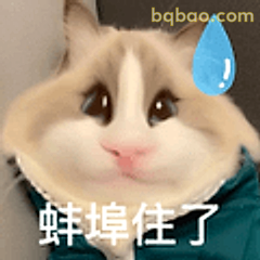 蚌埠住了