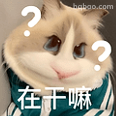 在干嘛？猫咪疑惑脸