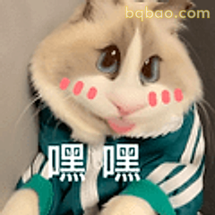 嘿嘿猫咪歪头笑