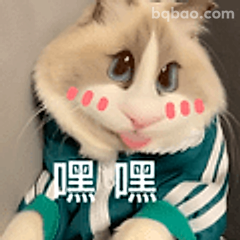 嘿嘿猫咪歪头笑