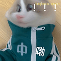 穿绿衣惊呼的仓鼠