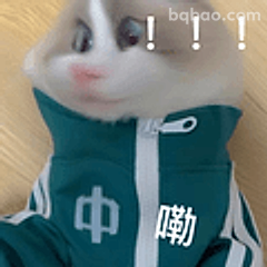 穿绿衣惊呼的仓鼠