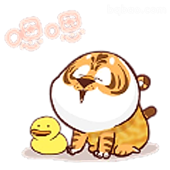 虎子哼哼生气啦