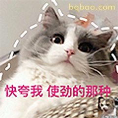 快夸我使劲的那种