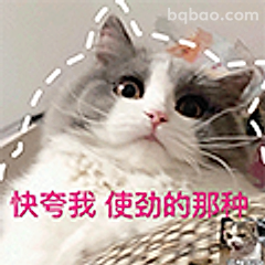 快夸我使劲的那种