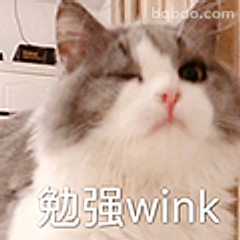 勉强wink猫咪