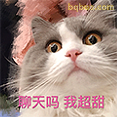聊天吗我超甜