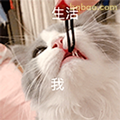 生活把我嘴撬开