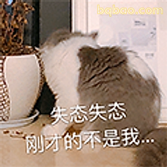 失态失态刚才不是我