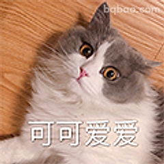 可可爱爱猫咪