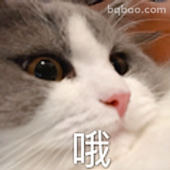 猫咪哦表情包