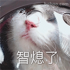 智熄了猫咪