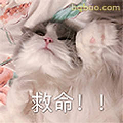 猫咪喊救命