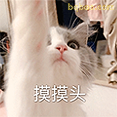 摸摸头