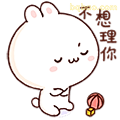 不想理你小兔子