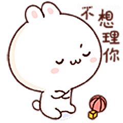 不想理你小兔子
