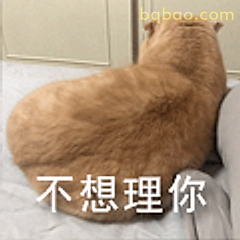 不想理你
