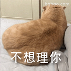 不想理你