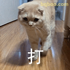 猫咪生气要打人