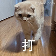 猫咪生气要打人
