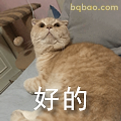 好的猫咪表情包
