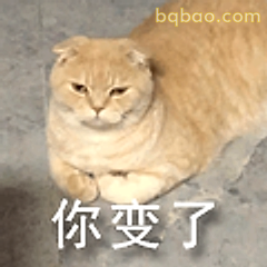 你变了