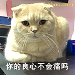 你的良心不会痛吗