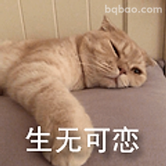 生无可恋猫